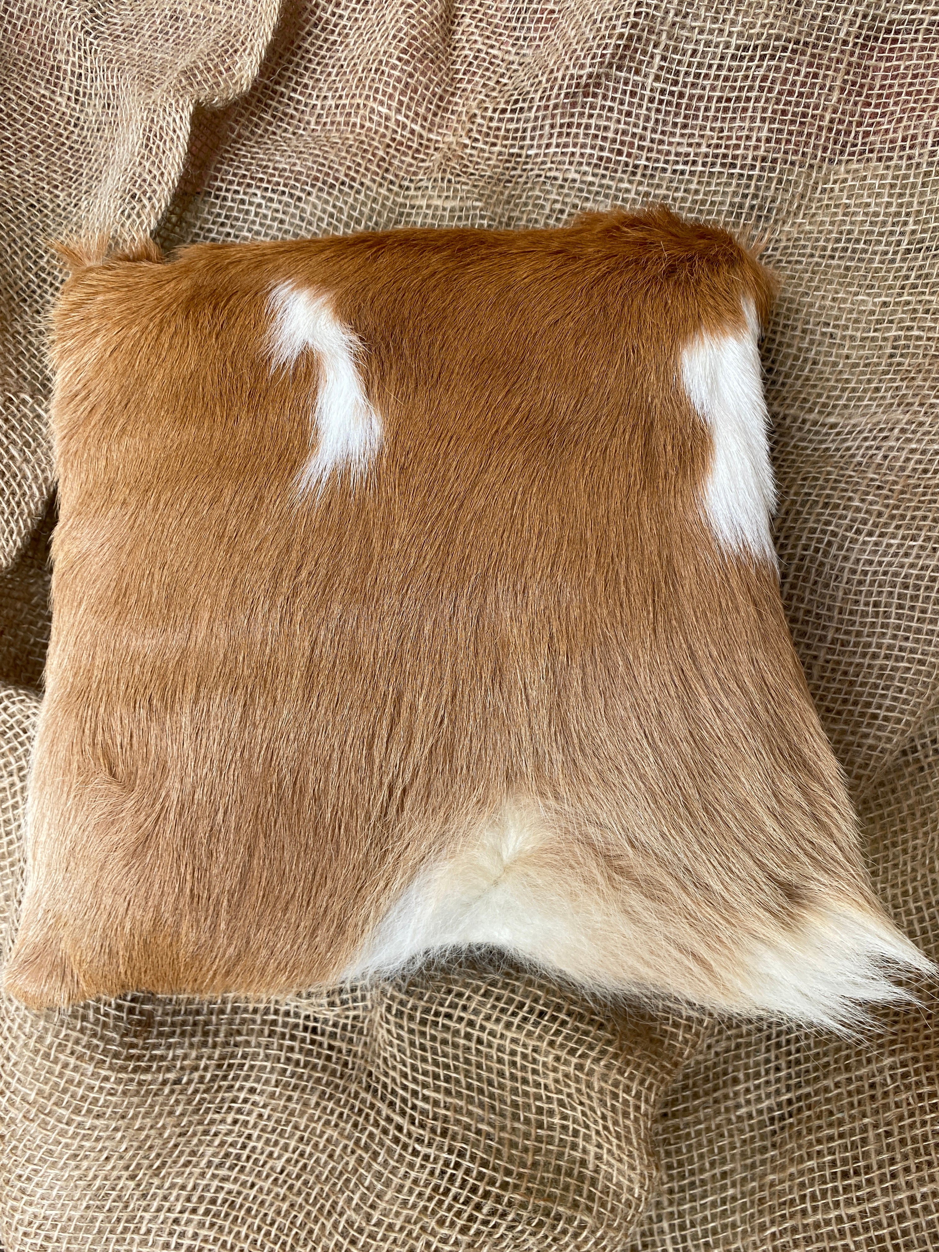 Calf Cushion