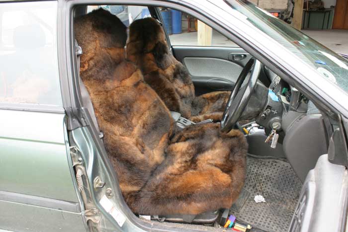 Custom Possum Fur Seat Covers
